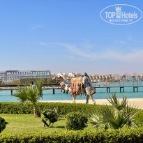 фото из отзыва ID 2251882