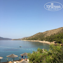 фото из отзыва ID 2251913