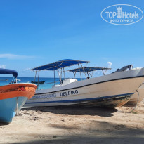 фото из отзыва ID 2251944