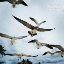 фото из отзыва ID 2251994