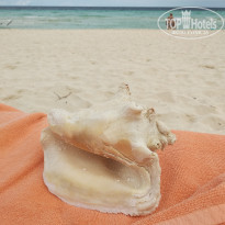 фото из отзыва ID 2251994