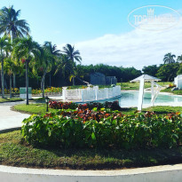 фото из отзыва ID 2251994