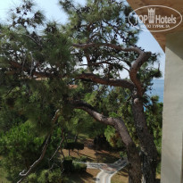 фото из отзыва ID 2252110