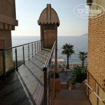 фото из отзыва ID 2252110