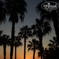 фото из отзыва ID 2252195