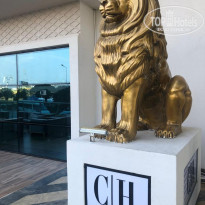 фото из отзыва ID 2252290