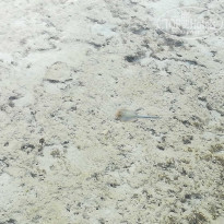 фото из отзыва ID 2252313