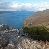 фото из отзыва ID 2252381