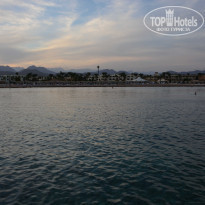 фото из отзыва ID 2252389