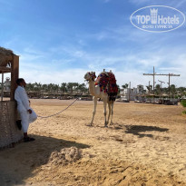 фото из отзыва ID 2252408