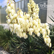 фото из отзыва ID 2251823