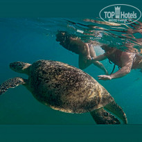 фото из отзыва ID 2252468