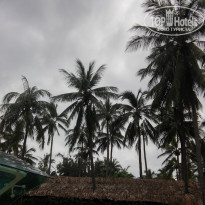 фото из отзыва ID 2252706