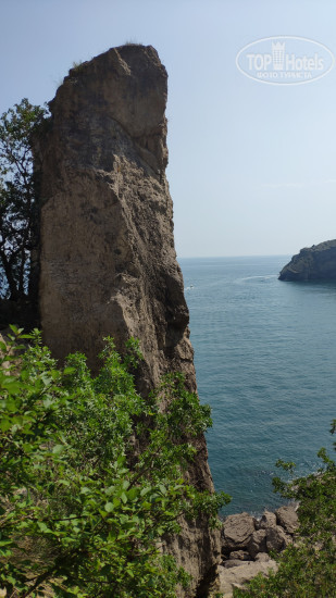 Photos Натали