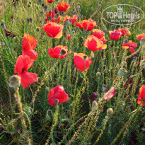 фото из отзыва ID 2252748