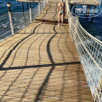 фото из отзыва ID 2252988