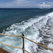 фото из отзыва ID 2252998