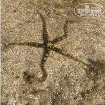 фото из отзыва ID 2253028