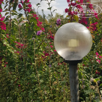 фото из отзыва ID 2252815