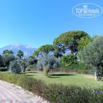 фото из отзыва ID 2253187