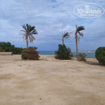 фото из отзыва ID 2253225