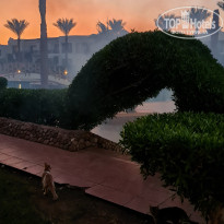 фото из отзыва ID 2253198