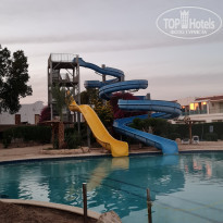 фото из отзыва ID 2253198