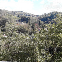 фото из отзыва ID 2253355