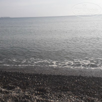 фото из отзыва ID 2253355