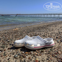 фото из отзыва ID 2253471