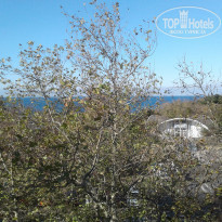 фото из отзыва ID 2253642