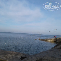 фото из отзыва ID 2253642