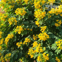 фото из отзыва ID 2253685