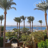 фото из отзыва ID 2253685