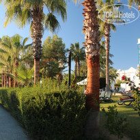 фото из отзыва ID 2253766