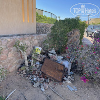 фото из отзыва ID 2253814