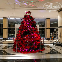 фото из отзыва ID 2253831