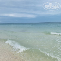 фото из отзыва ID 2253619