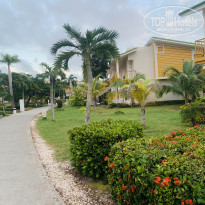 фото из отзыва ID 2253619