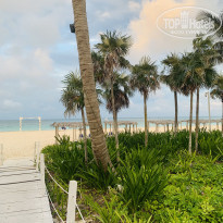 фото из отзыва ID 2253619