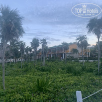 фото из отзыва ID 2253619