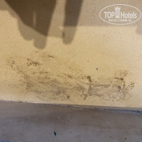 фото из отзыва ID 2253842