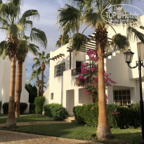 фото из отзыва ID 2253852