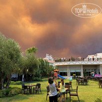 фото из отзыва ID 2253894