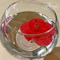 фото из отзыва ID 2253894