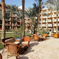 фото из отзыва ID 2254016