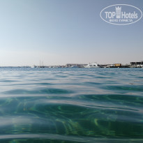 фото из отзыва ID 2254016