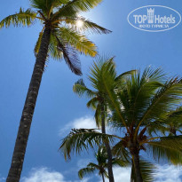 фото из отзыва ID 2254026