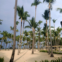 фото из отзыва ID 2254026