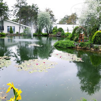 фото из отзыва ID 2254061